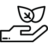 Herbalist & Healthcare Practitioner Approved